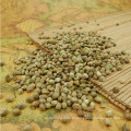 Brand new preço da semente de cânhamo em massa